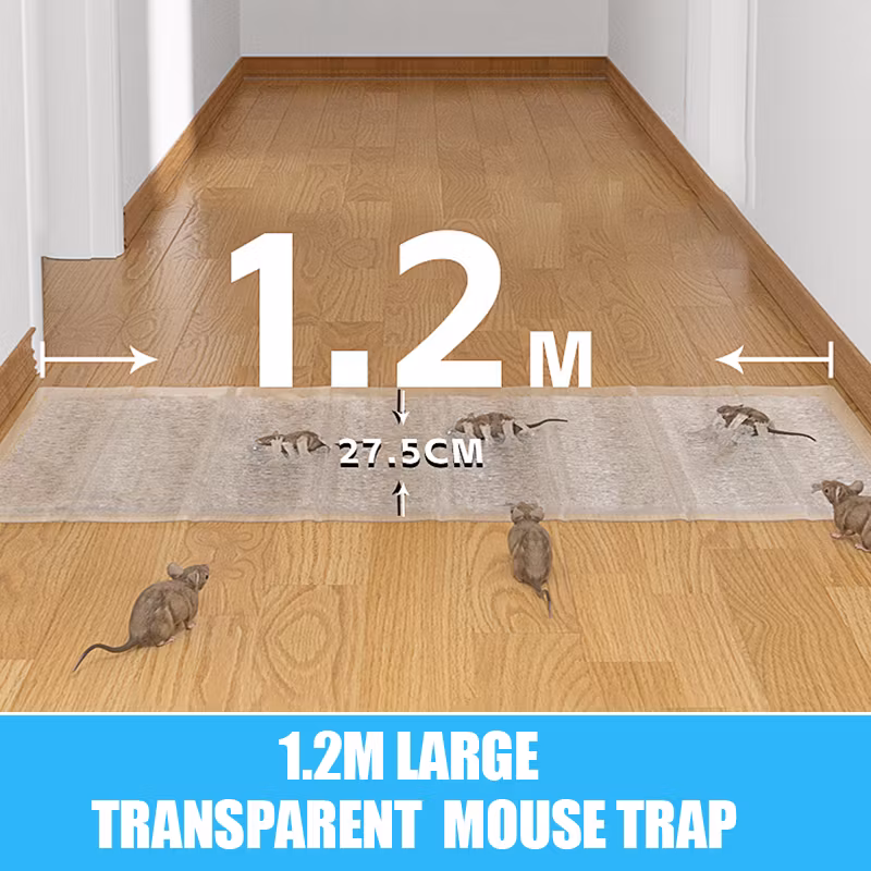 1.2M Large Transparent Mouse Trap